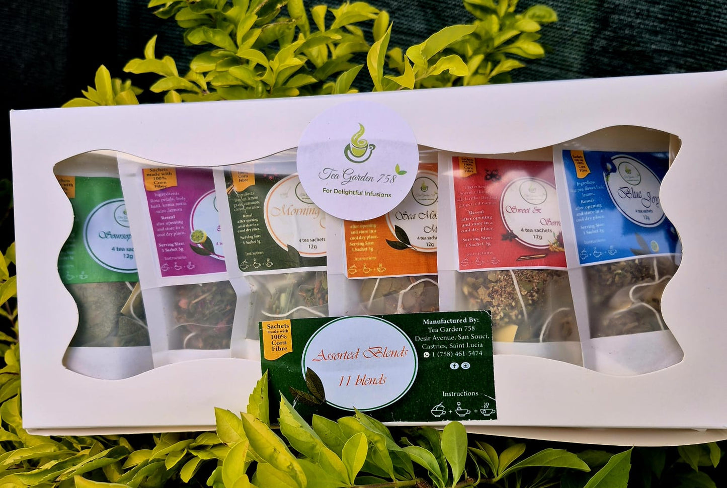 11 Blends Assorted Tea Box